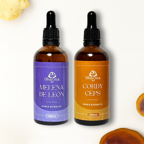 Melena de León & Cordyceps