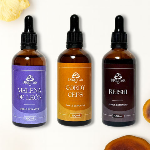 Melena de León - Reishi & Cordyceps