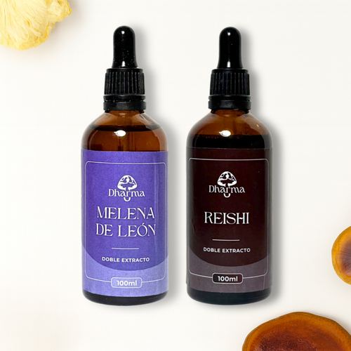 Melena de León + Reishi