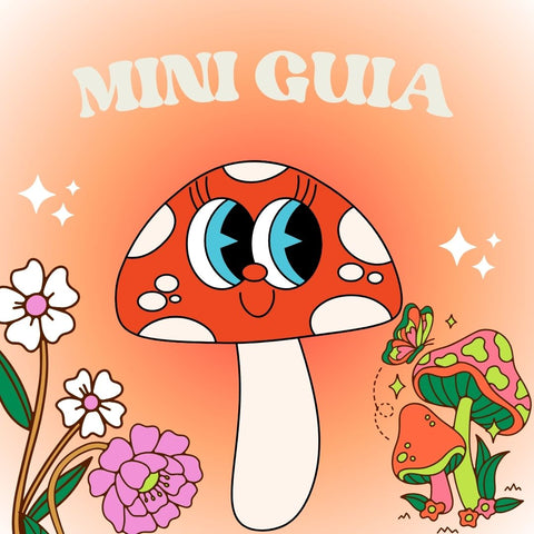 Mini guía para elegir